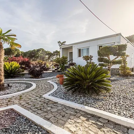 Casa Flores By Hostiva Aroeira (Setubal)